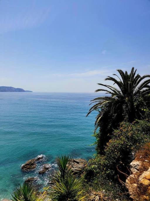 Apartmán Atico Fresco Y Luminoso Con Aparcamiento Privado Nerja Exteriér fotografie